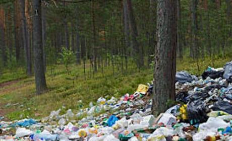 Objavljen Javni poziv za neposredno su/financiranje uklanjanja otpada odbačenog u okoliš (tzv. „divlja odlagališta“) (ZO-1/2024)