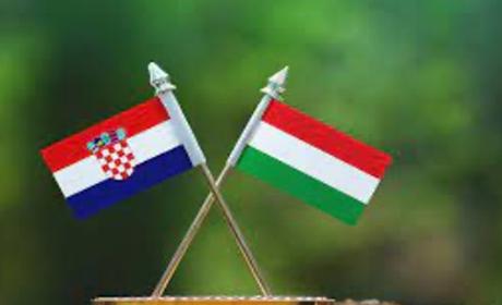 Natječaj za sufinanciranje znanstveno-istraživačkih projekata u sklopu zajedničke hrvatsko-mađarske suradnje u trajanju od 1. srpnja 2024. do 30. lipnja 2026. godine