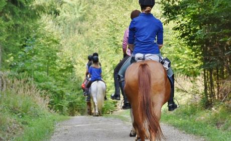 Javni poziv za dodjelu potpora za ulaganja u razvoj i unaprjeđenje ruralnog turizma na području Osječko-baranjske županije u 2023. godini