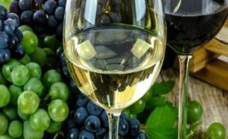 Otvoren Natječaj za mjeru Ulaganja u vinarije i marketing vina