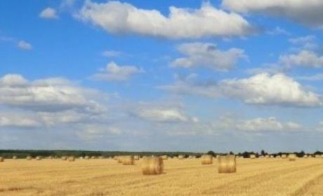Javni poziv za prikupljanje zahtjeva za investicijske kredite za financiranje EU projekata poljoprivrednika na području Osječko-baranjske županije
